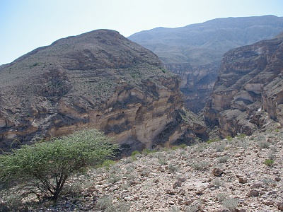 140 Pustinja Omana